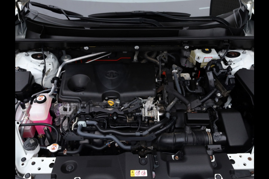 Toyota RAV4 2.5 Hybrid Bi-Tone | Panoramadak | JBL Audio | Treeplanken