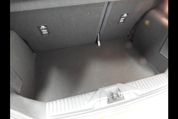 Ford Fiesta 1.0 EcoBoost Titanium NAVI-APP/CLIMA/LED/PDC/15"LMV!