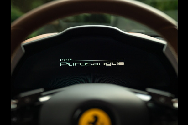 Ferrari Purosangue 6.5 V12 | Verde Zeltweg | Airbrushed shields | Carbon exterior | Lift