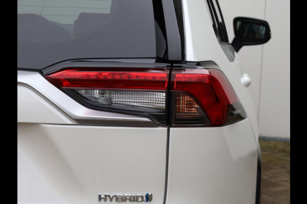 Toyota RAV4 2.5 Hybrid Bi-Tone | Panoramadak | JBL Audio | Treeplanken