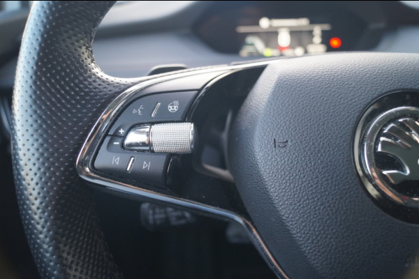 Škoda ENYAQ iV 80 First Edition High -PANO-LEER-LED-TREKHAAK-