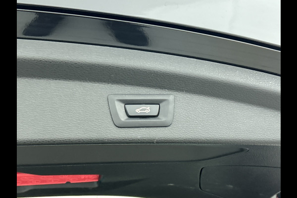 BMW X2 SDrive18i Executive(Dealer OnderH, Navi, StoelV, Camera, Parkeersensoren, Climate Con, Etc)