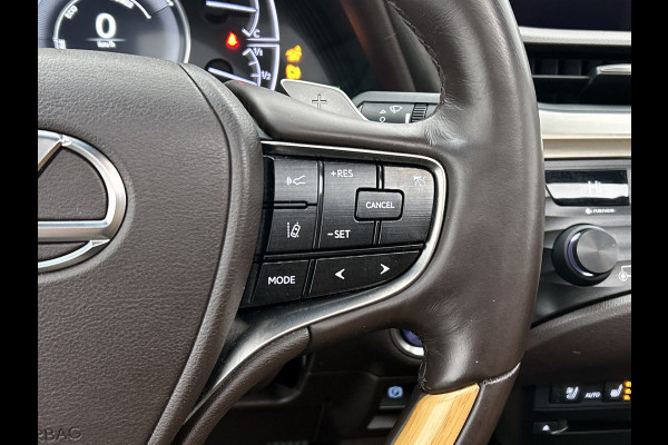 Lexus ES 300h President Line(Perfect onderH, Panorama, Stoel VerW+ Koeling, StuurV, Camera, PDC, Etc)