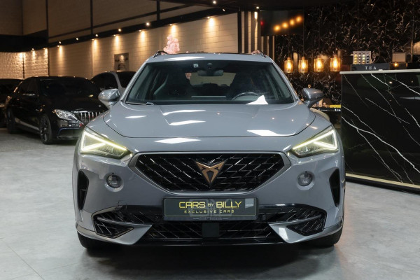 CUPRA Formentor 2.0 TSI 4DRIVE|PANO|LEDER|CLIMATE|NAVI