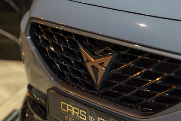 CUPRA Formentor 2.0 TSI 4DRIVE|PANO|LEDER|CLIMATE|NAVI