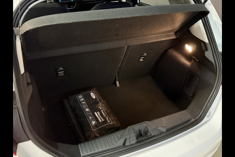 Ford Fiesta 1.0 EcoBoost Titanium | Apple Carplay | LED | | DAB+ | PDC