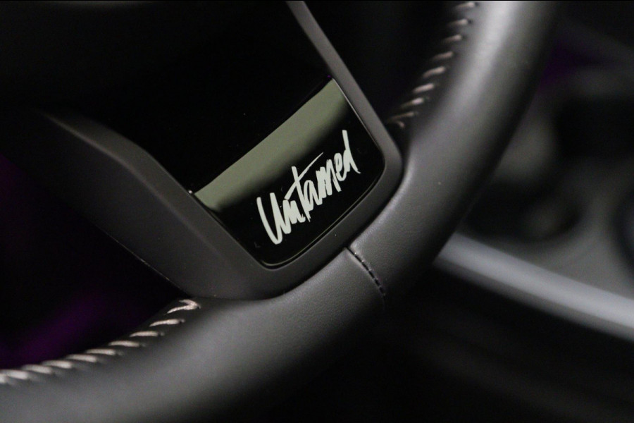 MINI Countryman 2.0 Cooper S E ALL4 Untamed Edition NAP/PANO/H-K/MEM/CARPLAY/VOL