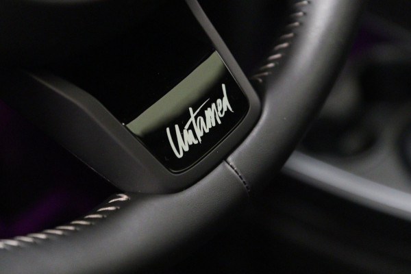 MINI Countryman 2.0 Cooper S E ALL4 Untamed Edition NAP/PANO/H-K/MEM/CARPLAY/VOL