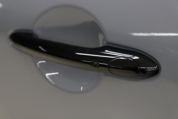 MINI Countryman 2.0 Cooper S E ALL4 Untamed Edition NAP/PANO/H-K/MEM/CARPLAY/VOL