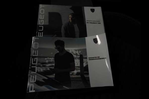 Peugeot e-208 EV Active Pack 50 kWh NAVI/CLIMA/CRUISE/PDC/16"LMV!