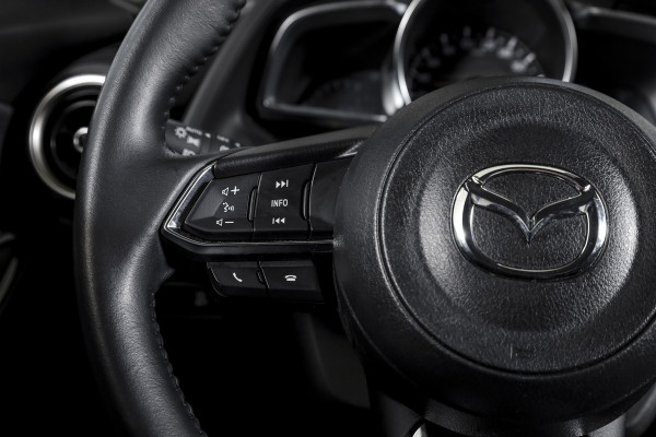 Mazda 2 1.5 Skyactiv-G 90 PK Luxury Orig. NL | Cruise | Stoel-+Stuurverw. | PDC | App. Connect | ECC | LM 16" |