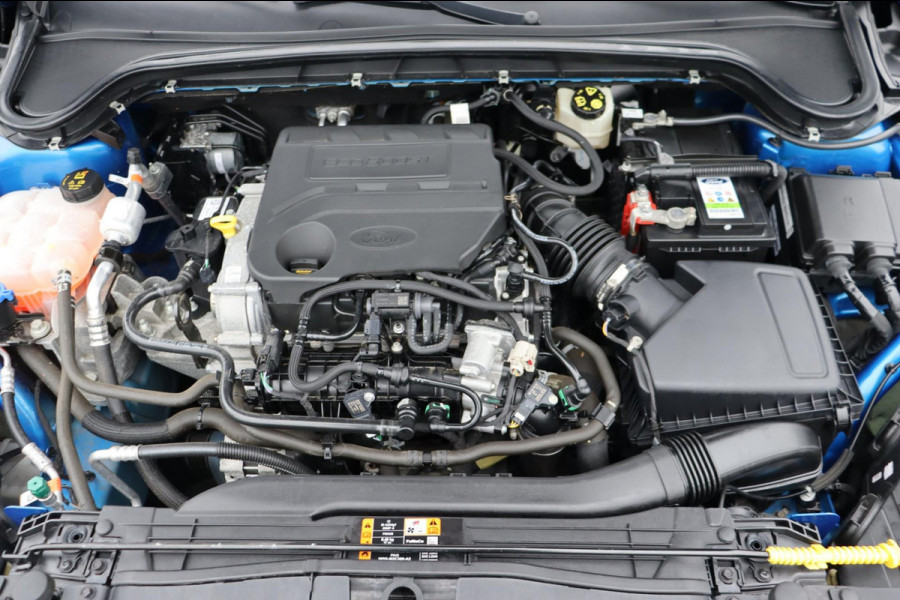 Ford Focus 1.0 EcoBoost Titanium Business org.NL camera stuur+stoel+raamverw. trekhaak