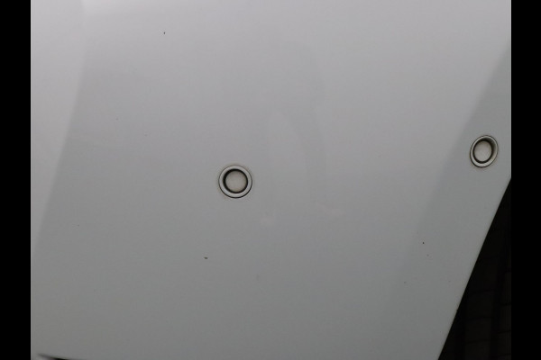 Renault ZOE R135 Intens 52 kWh Camera | Cruise | Navi | Parkeersens. v+a | Stoel-/stuurverw.