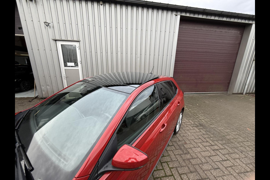 Volkswagen Polo 1.0 TSI DSG 110pk 3x R-Line Acc CarPlay Nav Stoelverw Pano