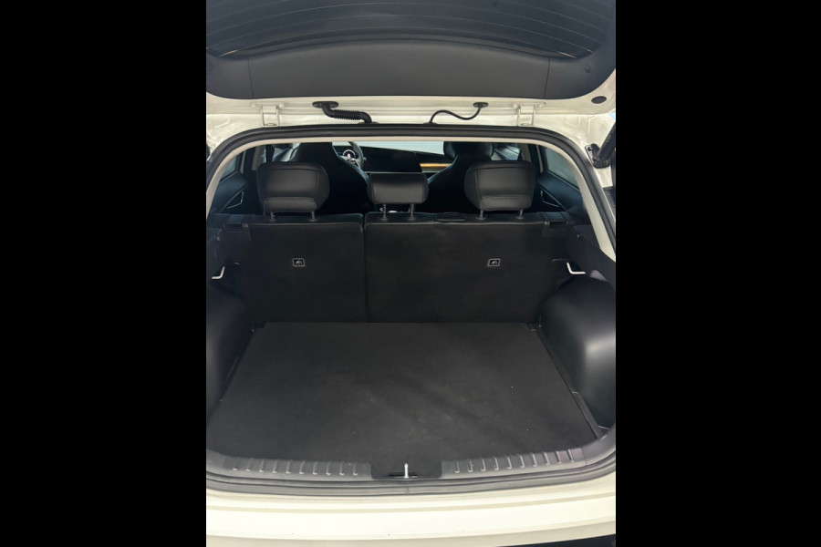 Kia Niro 1.6 GDi Hybrid DynamicPlusLine Pano, Trekhaak, Leer, Stuur/Stoelverwarming