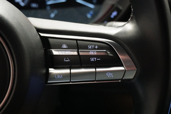 Mazda MX-30 e-SkyActiv 145 First Edition 36 kWh