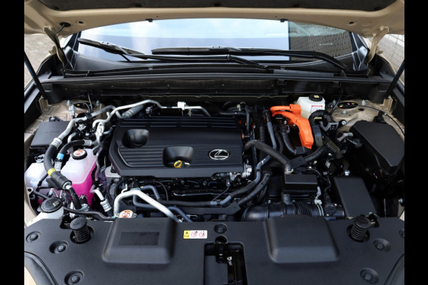 Lexus NX 450h+ AWD Overtrail | Panoramadak | 360 Camera | Trekhaak