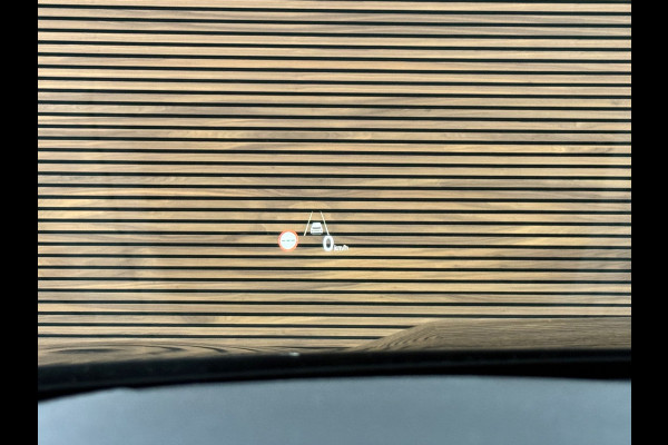 Kia Sorento 1.6 T-GDI Plug-in Hybrid 4WD ExecutiveLine 7p. | Pano | Camera | Leer | HUD | 360° Camera