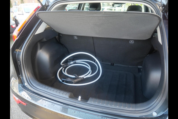 Kia Niro EV Light 64.8 kWh