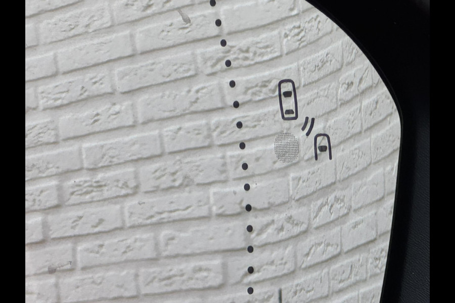 Renault Austral 1.2 mild hybrid Automaat Climate control Cruise control Navi Apple Android DAB Achteruitrijcamera