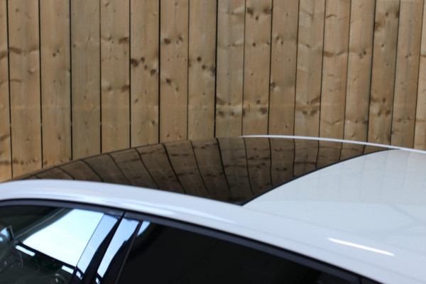 Volkswagen Polo 2.0 TSI GTI *Pano*DCC*Led*Camera*Keyless*