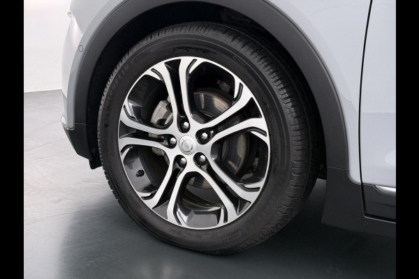 Opel Ampera-E Business executive 60 kWh Bose audio | Keyless | Dodehoek | Leer | Camera | Stoel- & stuurverwarming | 12 mnd BOVAG garantie |