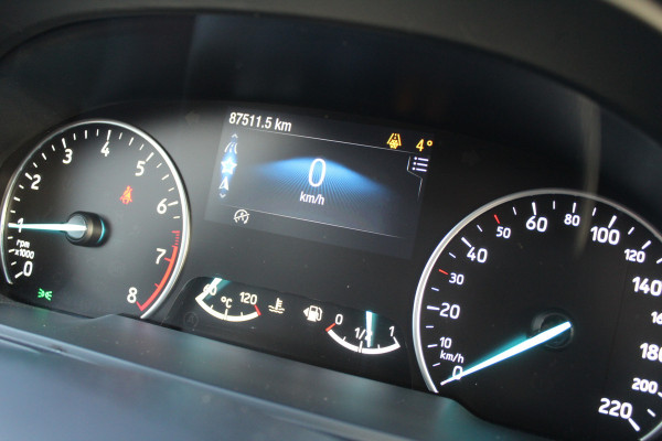 Ford EcoSport 1.0 EcoBoost 125PK Titanium | Origin NL | B&O | BLIS | Winterpack | Navigatie | Camera