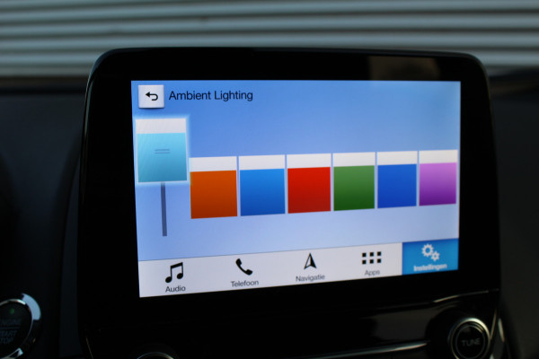 Ford EcoSport 1.0 EcoBoost 125PK Titanium | Origin NL | B&O | BLIS | Winterpack | Navigatie | Camera