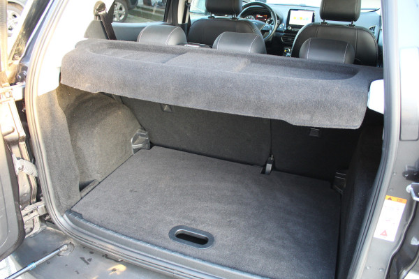 Ford EcoSport 1.0 EcoBoost 125PK Titanium | Origin NL | B&O | BLIS | Winterpack | Navigatie | Camera