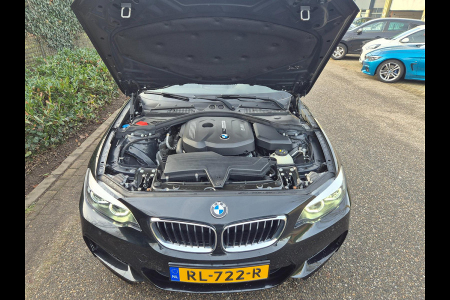 BMW 2 Serie Coupé M-Sport Apple Carplay Line Assist 2e eigenaar High Executive