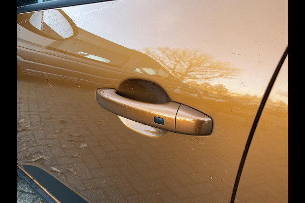 Dacia SANDERO Stepway 1.0 TCe 100 Bi-Fuel 1Eig Carplay DAB Camera Trekhaak Comfort LPG