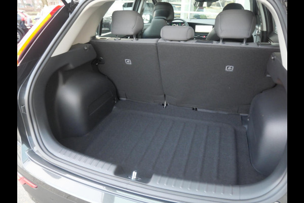 Kia Niro EV Light 64.8 kWh | Navi | Camera | Stand verwarming |