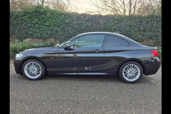BMW 2 Serie Coupé M-Sport Apple Carplay Line Assist 2e eigenaar High Executive