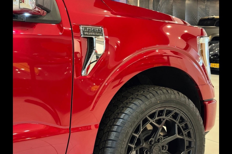 Ford USA F-150 3.5 V6 Ecoboost Platinum BPM VRIJ