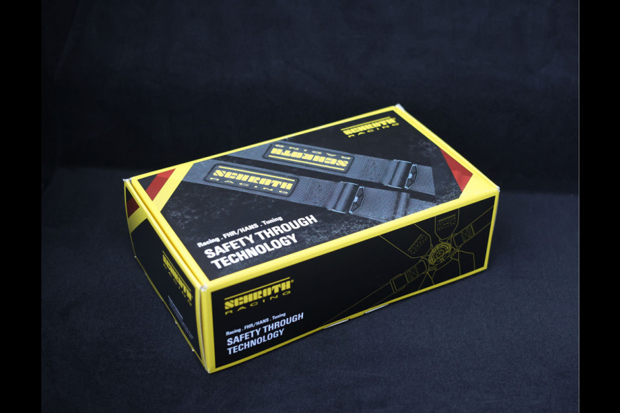 Mercedes-Benz AMG GT 4.0 R Pro | Selenit - Camera