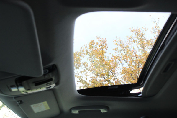 Kia Niro EV DynamicPlusLine 64.8 kWh Nieuw Model! | Navigatie | Half Leder | Schuif-kantel dak | Electrisch bedienbare achterklep | DAB | Led | Camera