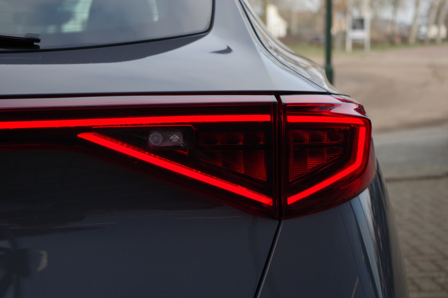 CUPRA Formentor 1.4 e-Hybrid 204 PK Performance PHEV, Panoramadak, Adap. Cruise Control, Carplay