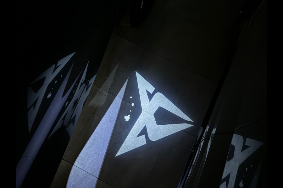 CUPRA Formentor 2.0 TSI 4DRIVE Pano|Memory|Keyless|Sfeer|ACC