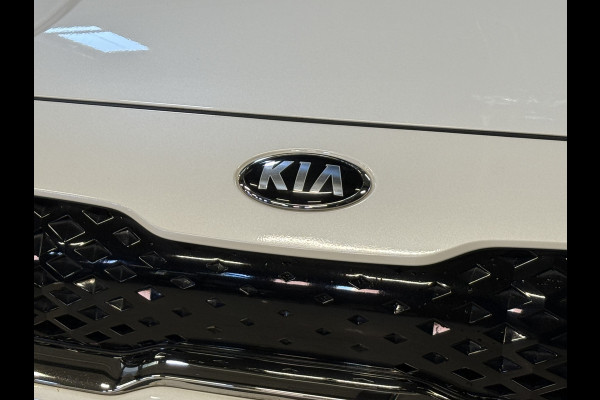 Kia Niro 1.6 GDi PHEV BusinessLine | Stoel/Stuurverw. | Apple Carplay | Trekhaak