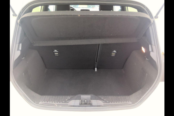 Ford Fiesta 1.0 EcoBoost ST-Line | Cruise control |