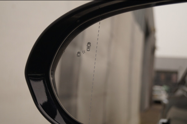 Kia e-Niro ExecutiveLine 64kWh -SOH100%-LEER-ECC-