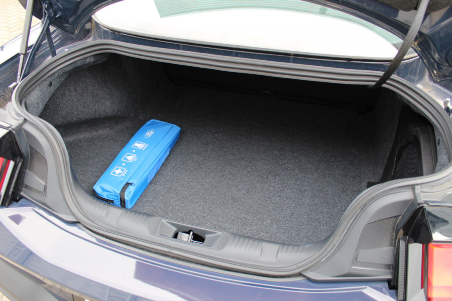 Ford Mustang Fastback 5.0 V8 Dark Horse Automaat | Uniek | Aantoonbare Historie | Full Options