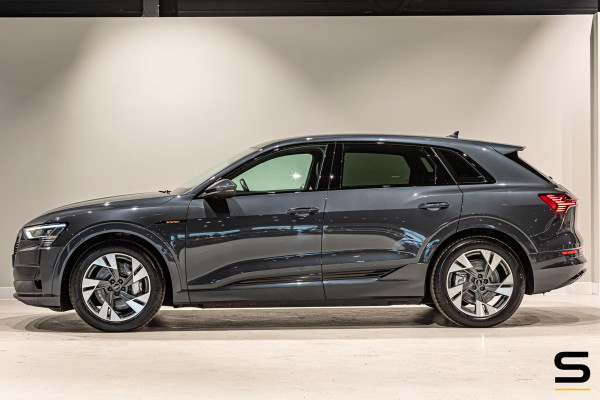 Audi e-tron E-tron 55 quattro advanced 95 kWh|NAP|Cam|SOH92%
