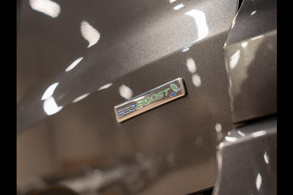 Ford EcoSport 1.0 EcoBoost ST-Line 125PK, Cruise, Clima, Multistuur, Led, Alcantara, PDC, Private Glas, Voll Onderhouden