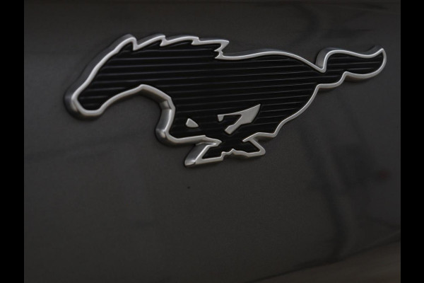 Ford Mustang Mach-E Extended RWD 98 kWh | Panoramadak | Trekhaak | Leder | Stoel & stuurverwarming | Adaptive cruise | 360 Camera | Carplay