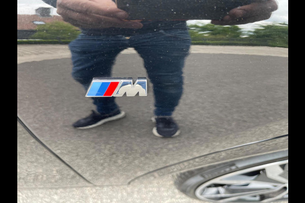 BMW X2 SDrive20i High Exe M-Pakket Panoramadak leer Navi Head-Up Camera