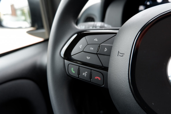 Fiat Panda 1.0 Hybrid City / INCL. 2 jaar FabrieksGarantie