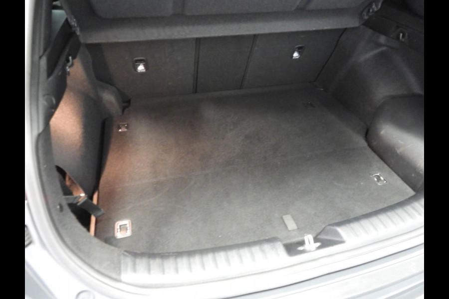 Kia Xceed 1.6 GDi PHEV Plug-In ExecutiveLine LEER/SCHUIFDAK/TREKH./18"LMV!