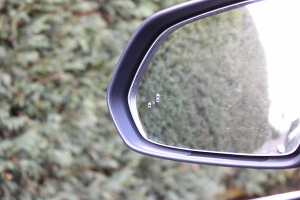 MG Mg Zs EV Luxury 45kWh AllSeason Panodak Leder