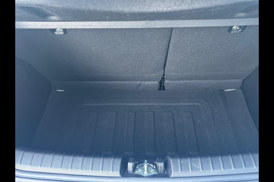 Kia Picanto 1.0 DPi DynamicLine 5drs | Apple Carplay / Android auto | Camera achter | 12 maanden BOVAG garantie! |